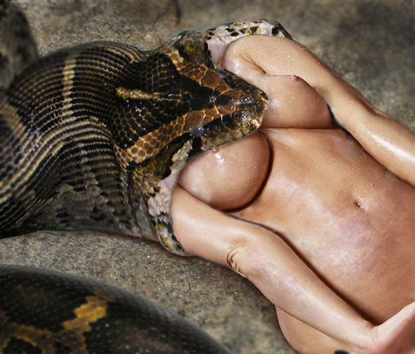 Бразильская Змея Порно