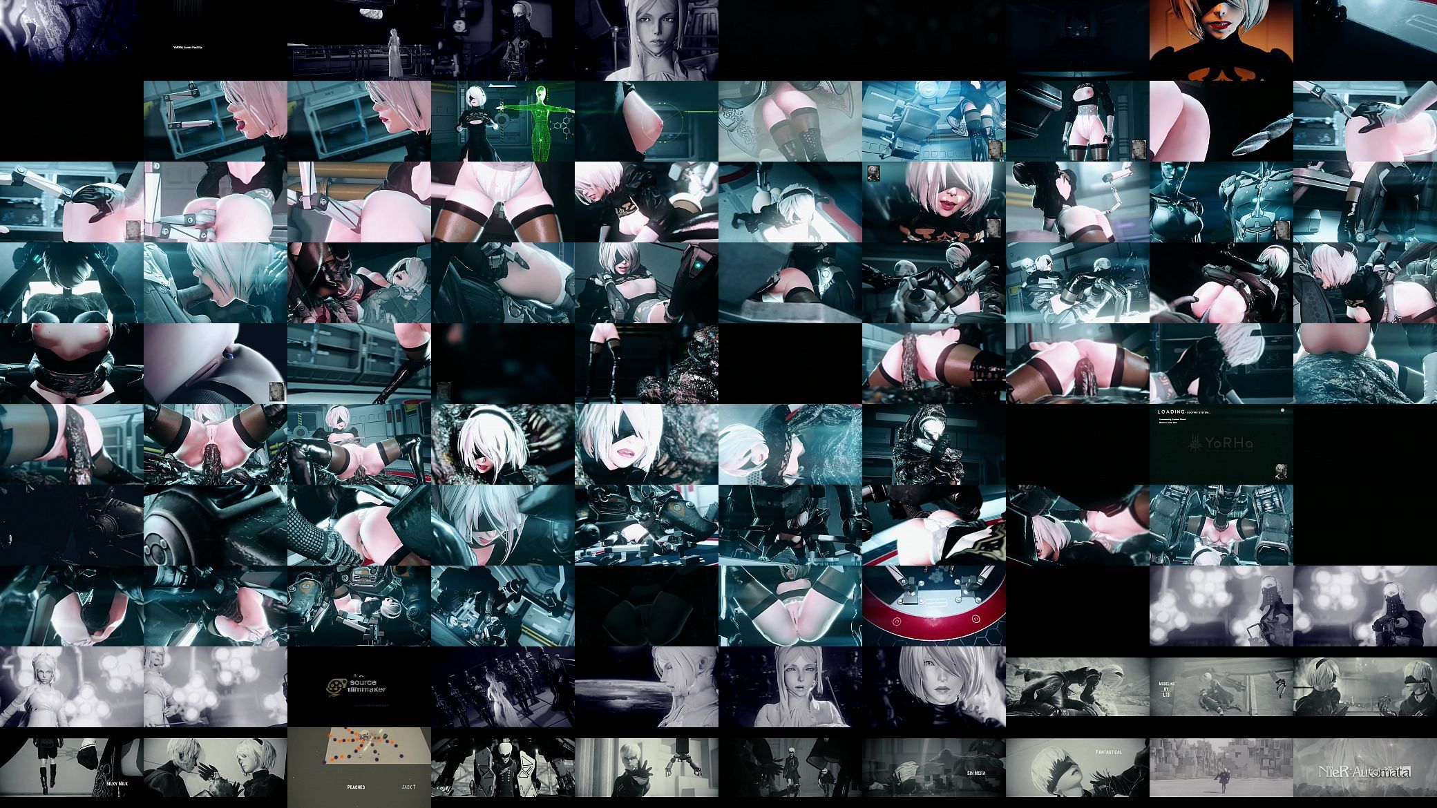 best of First assembly nier